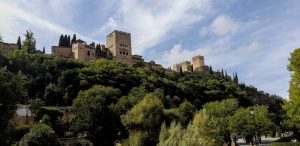 Alhambra Above Trees