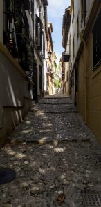Alley In Granada